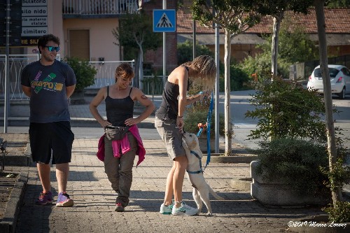 PRIMA LEZIONE GUINZAGLIO